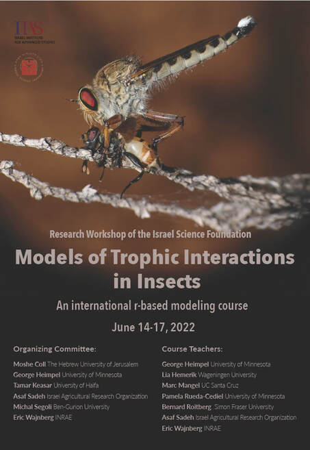 Models of trophic interactions in insects - R workshop